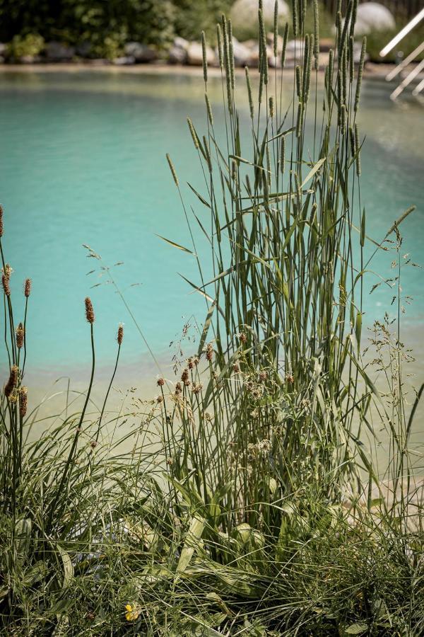 Birnbaum Chalets Grossarl Εξωτερικό φωτογραφία